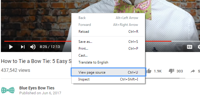 Find tags for video - view source