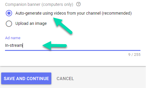 YouTube Ads setup 11 - Video ad companion banner settings